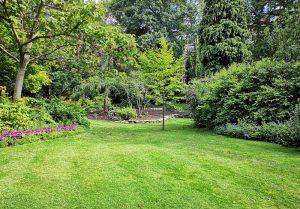 Optimiser l'expérience du jardin à Coulommes-la-Montagne
